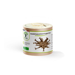 Harpagophytum bio gélules - Bioptimal