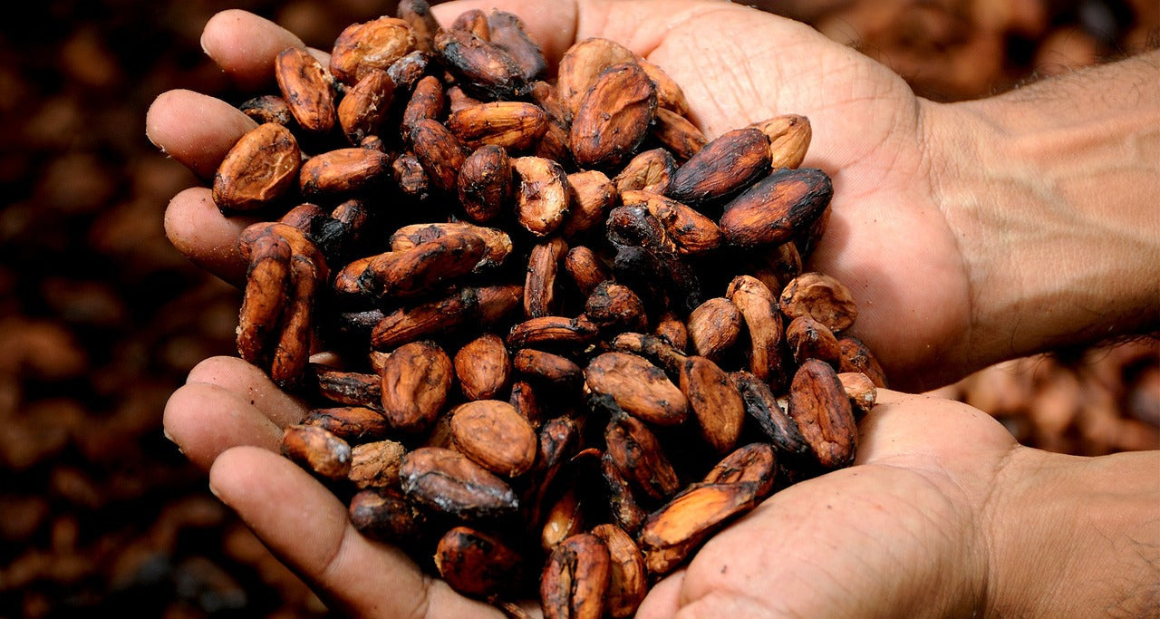 Comment choisir sa poudre de cacao ?