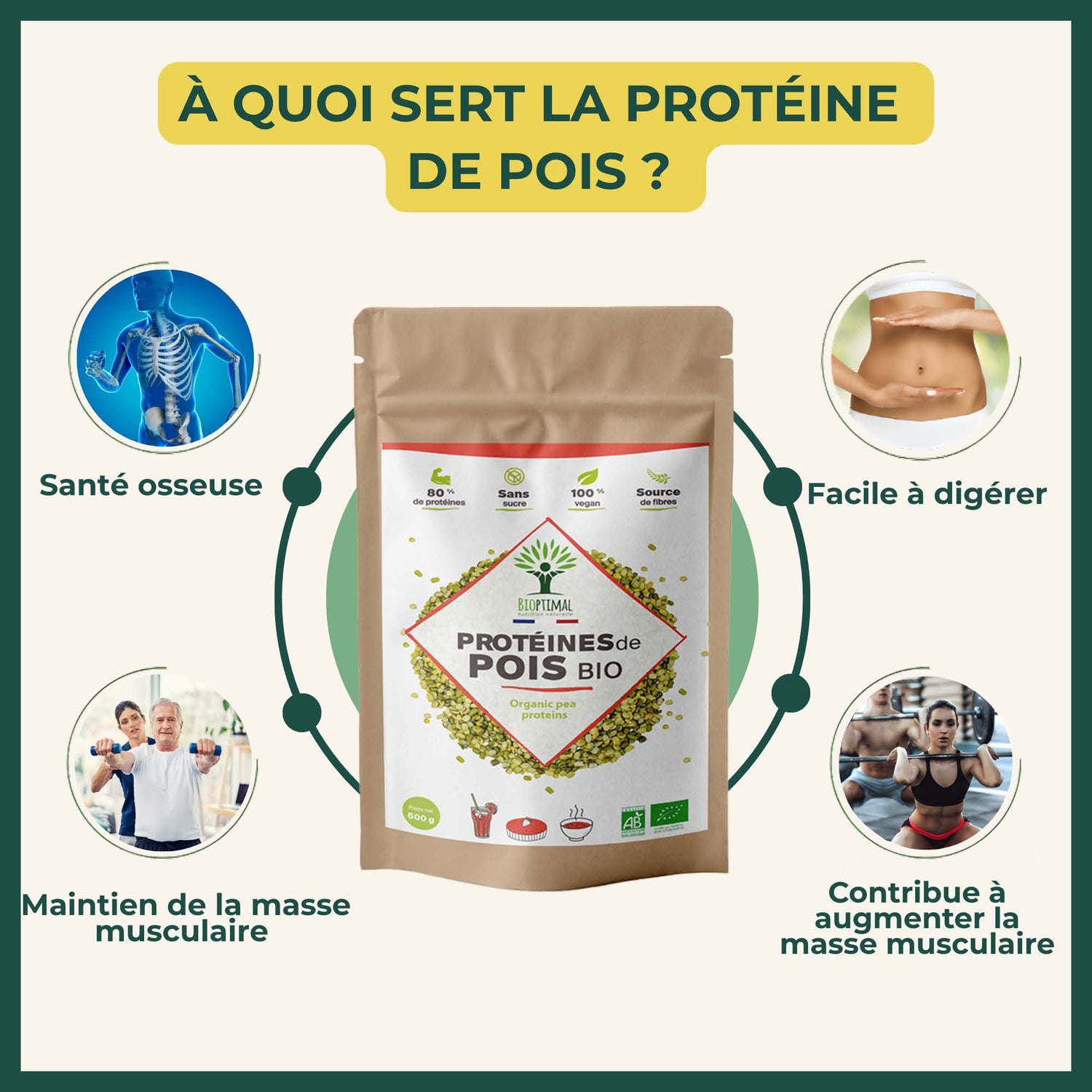Protéines de pois bio poudre - Bioptimal