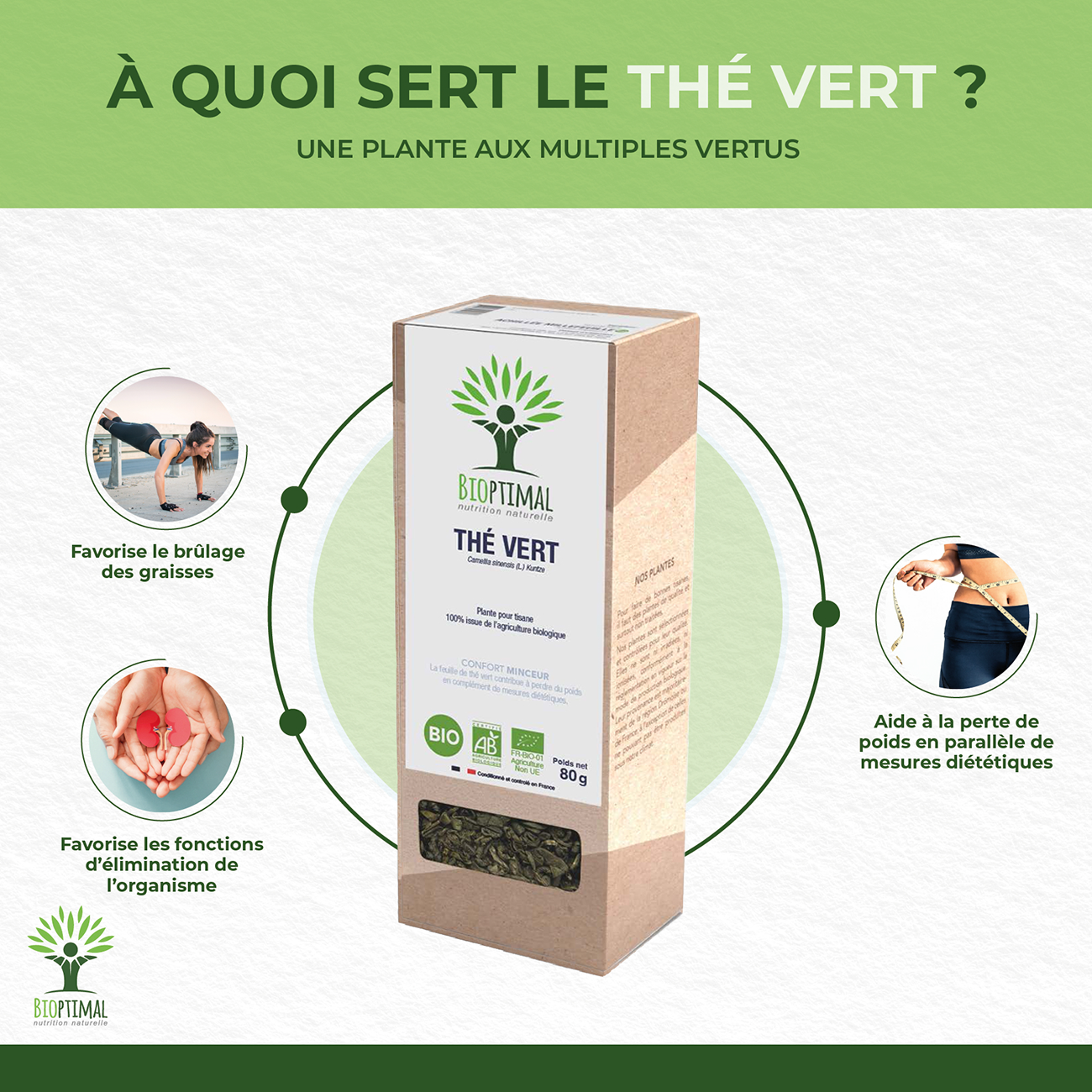 Thé vert bio - Bioptimal