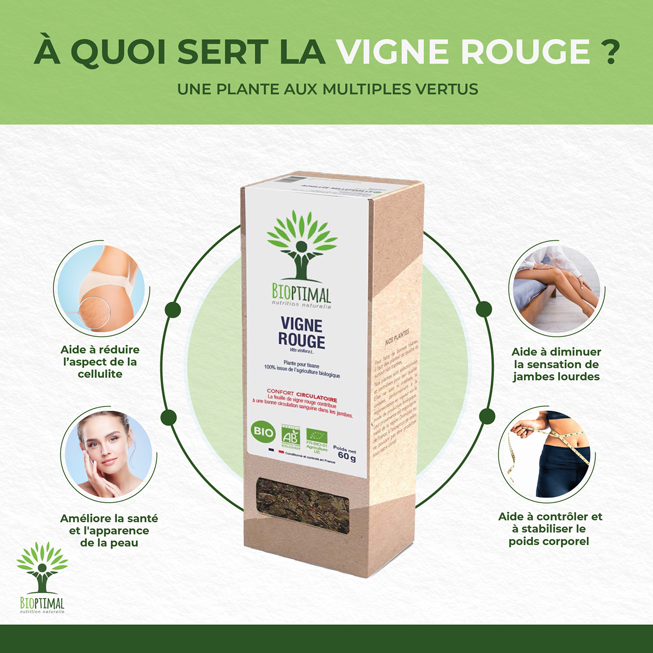Vigne rouge bio - Bioptimal