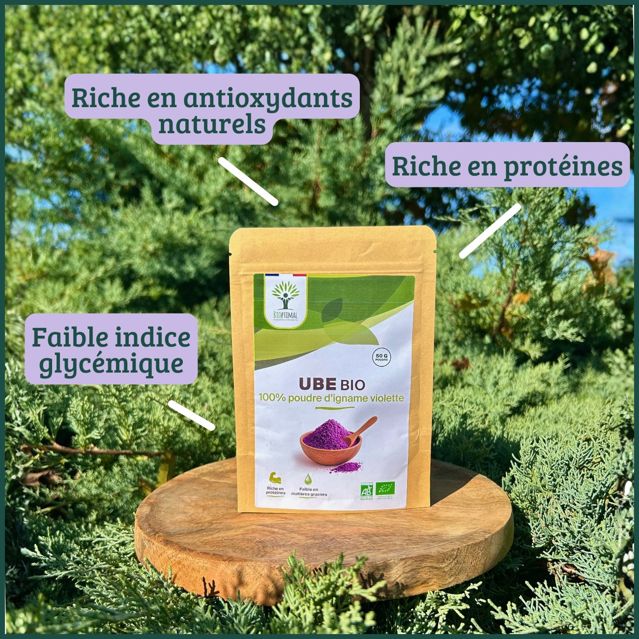 Ube bio poudre -  Bioptimal