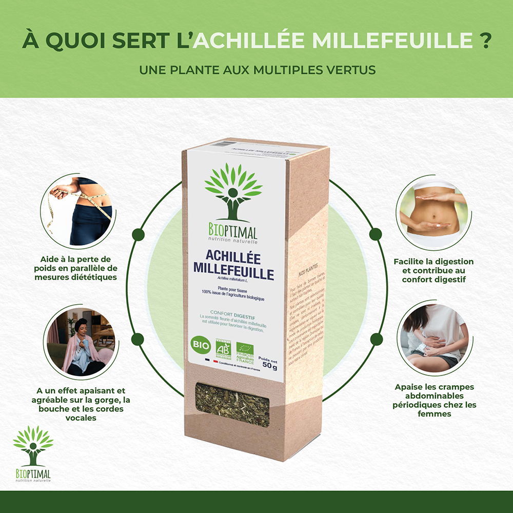 Achillé millefeuille bio -  Bioptimal