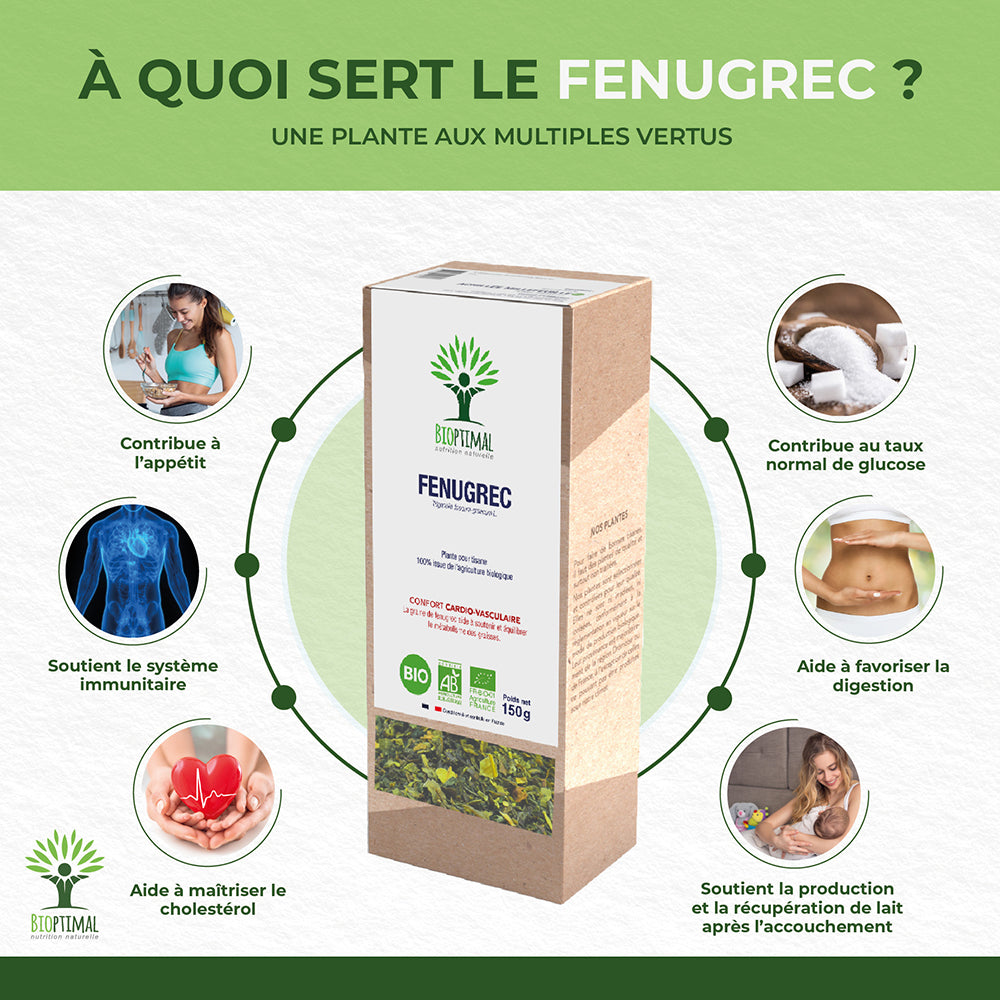 Infographie des bienfaits de l’infusion de fenugrec bio Bioptimal. Contribue à l'appétit. Soutient le système immunitaire. Aide à maîtriser le cholestérol. Contribue au taux normal de glucose. Aide à favoriser la digestion. Soutient la production et la récupération de lait après l'accouchement.