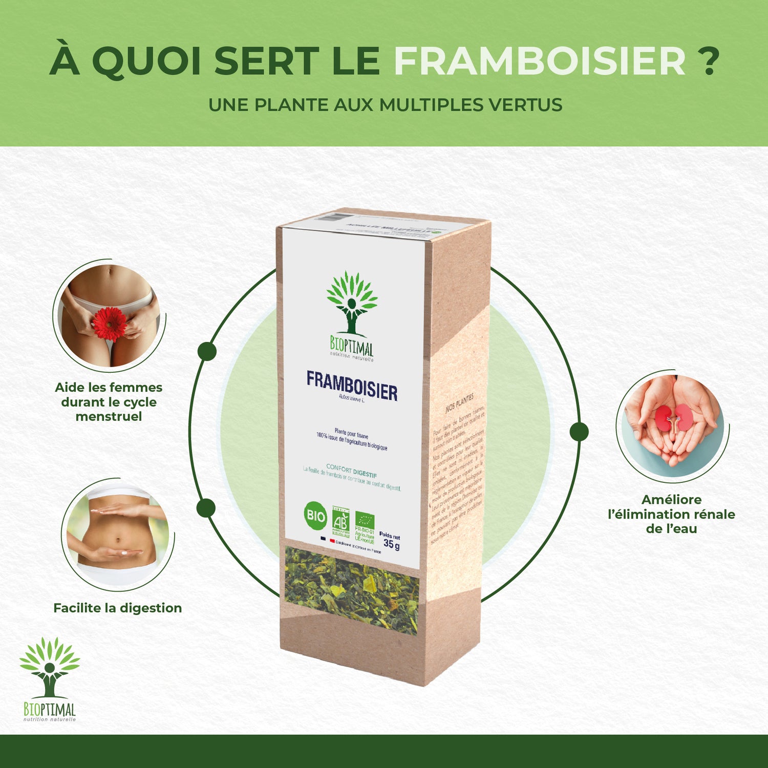 Framboisier bio -  Bioptimal