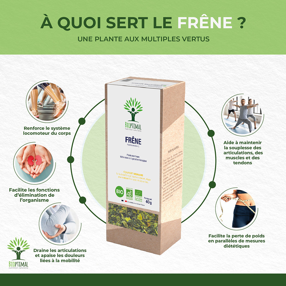 Frêne bio -  Bioptimal
