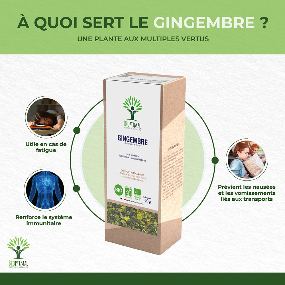 Gingembre bio -  Bioptimal