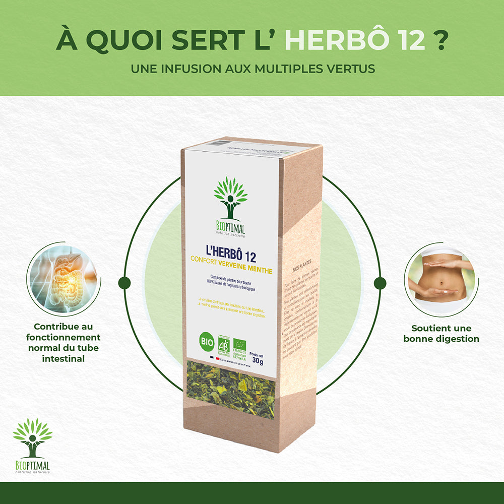 L'herbô 12 Verveine & Menthe -  Bioptimal