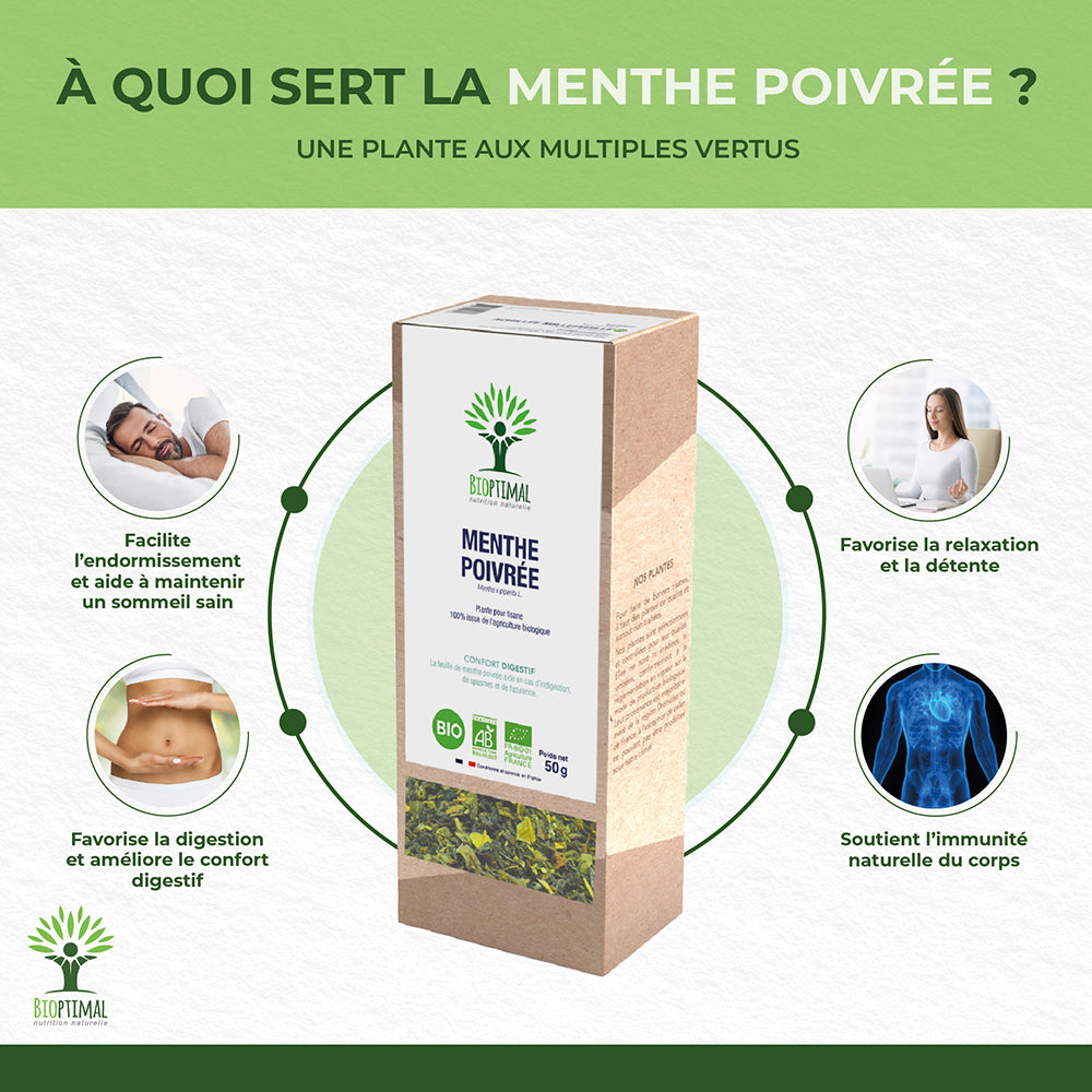 Menthe poivrée bio -  Bioptimal