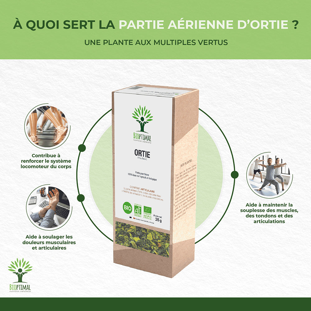 Ortie piquante bio - Bioptimal