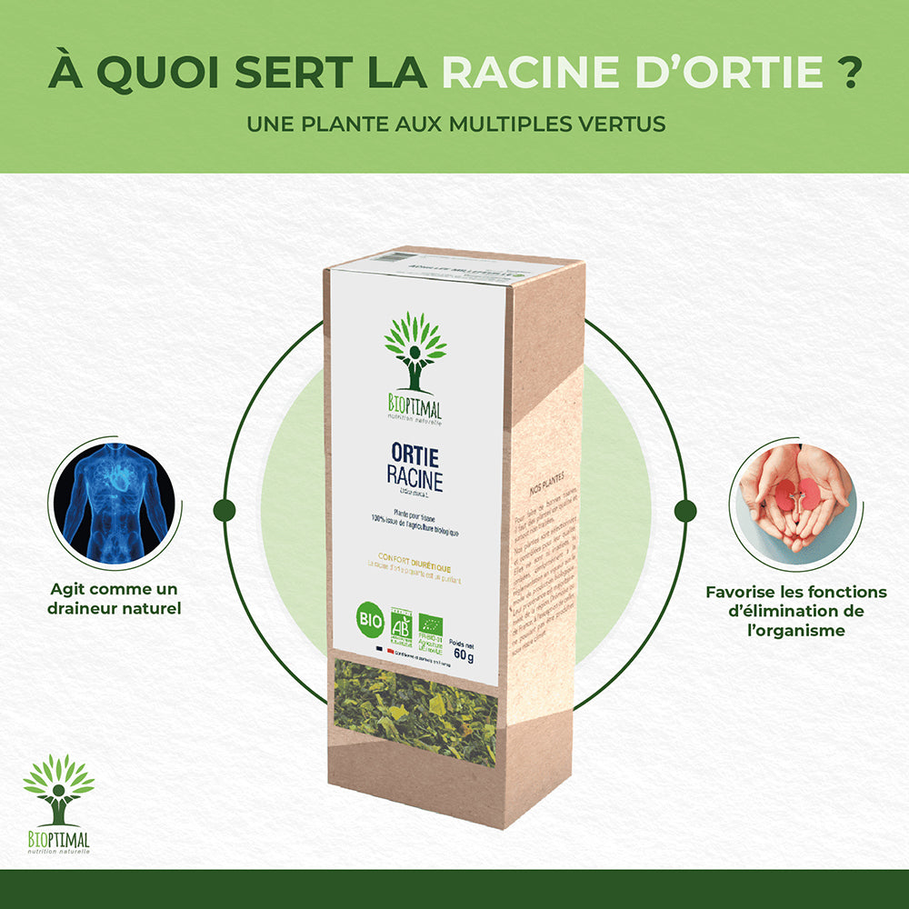 Ortie racine bio - Bioptimal