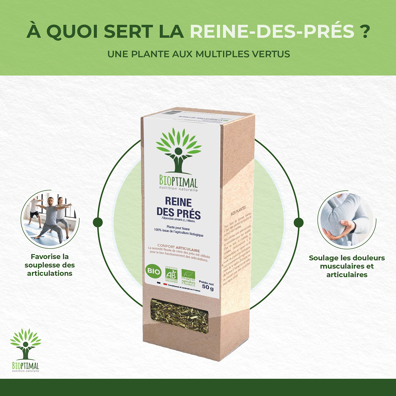 Les bienfaits de l'infusion reine des prés sont : Favorise la souplesse des articulations. Soulage les douleurs musculaires et articulaires