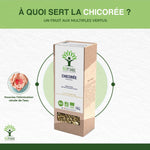 Infographie des bienfaits de l’infusion de chicorée bio Bioptimal