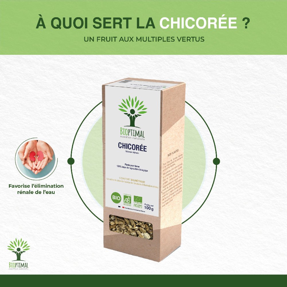 Infographie des bienfaits de l’infusion de chicorée bio Bioptimal
