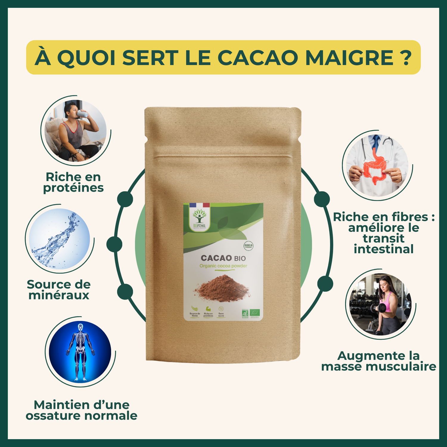 Infographie présentant les bienfaits du cacao bio en poudre Bioptimal : riche en antioxydants, non alcalinisé, idéal pour boissons chaudes, pâtisseries et recettes saines. Riche en protéines, source de minéraux, maintien d'une ossature normale augmente la masse musculaire, et riche en fibres : améliore le transit intestinal