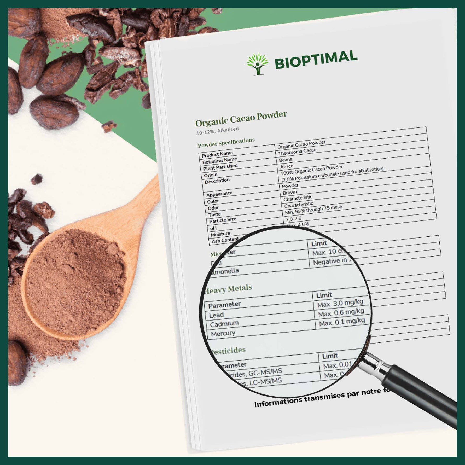 Infographie fiche technique du cacao bio en poudre Bioptimal : informations sur les spécifications du produit, contrôle des métaux lourds avec très faible taux de cadmium, et tests pesticides, pour garantir un cacao 100 % sûr, non alcalinisé et issu de l’agriculture biologique.
