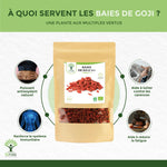 Biens faits:
Puissant antioxydant naturel, renforce le système immunitaire, aide à lutter contre les carences et aide à réduire la fatigue.