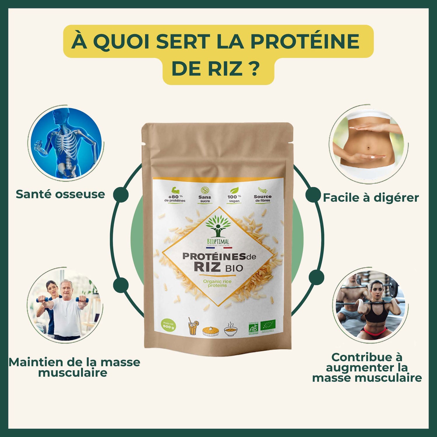 Infographie sur les bienfaits des protéines de riz bio bioptimal. Santé osseuse. Facile à digérer. Maintien de la masse musculaire. Contribue à augmenter la masse musculaire 