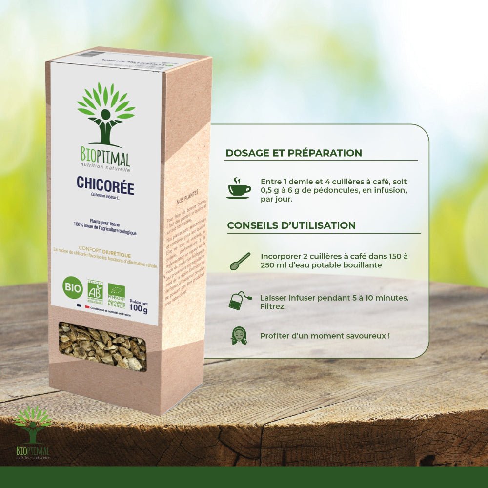 Infographie sur le mode d’utilisation de l’infusion de chicorée bio Bioptimal et ses conseils de préparation