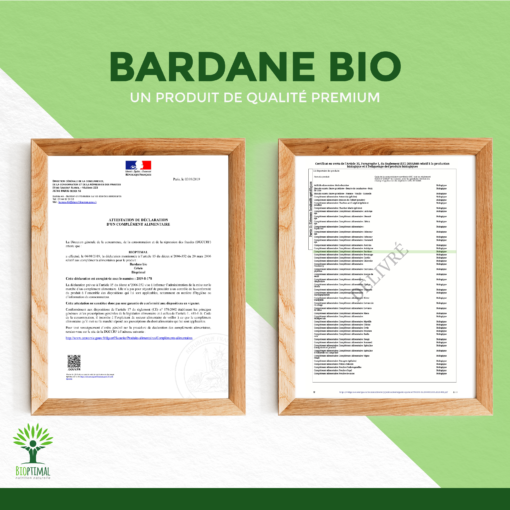 Bardane bio en gélule complément alimentaire peau grasse Acné Psoriasis Eczéma France