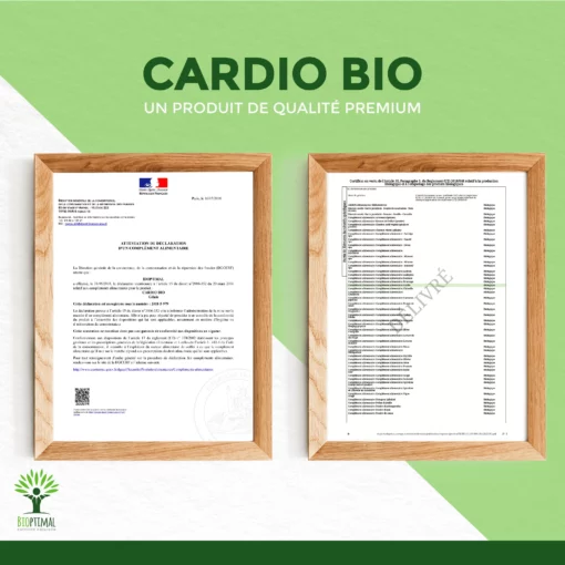 Cardio Bio - Complément alimentaire - Ail Aubépine Olivier Reine des prés - Cholestérol Santé cardiovasculaire - Fabriqué en France - Certifié Ecocert