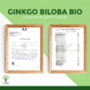 Ginkgo Biloba bio 60 gélules Complément alimentaire Mémoire Démence Vertige Amazon france