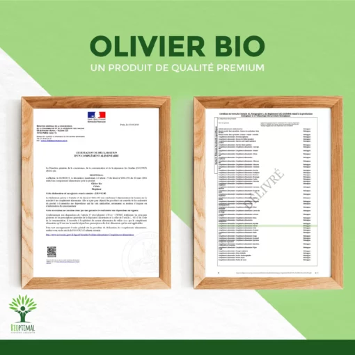Olivier Bio - Complément alimentaire - Circulation Sanguine Diurétique Défenses immunitaires - Feuilles d'olivier en poudre - Fabriqué en France