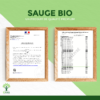 Sauge bio Bioptimal Complément alimentaire Gélules Ménopause Bouffées de Chaleur Règles Douloureuses Digestion Made in France Certifié par Ecocert