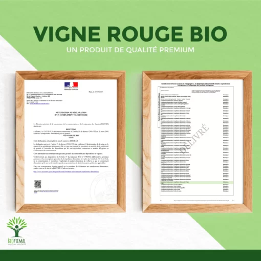 Vigne rouge Bio - Complément alimentaire - Jambes lourdes Circulation sanguine - 300 mg de Feuille de vigne/gélule - Fabriqué en France - Vegan