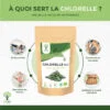 Chlorelle bio Bioptimal Complément Alimentaire Comprimés Protéine Detox Vitamine B12 Chlorella pure Conditionné en France Certifié par Ecocert