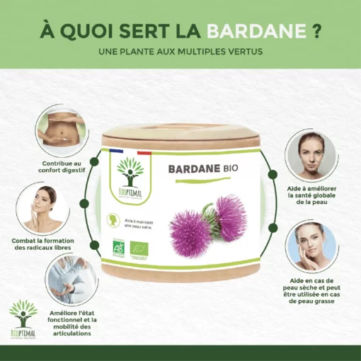 Bardane Bio - Arctium Lappa - Complément alimentaire - Santé de la peau Digestion - Racine de Bardane Pure - Fabriqué en France - Certifié Ecocert
