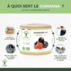 Guarana Bio - Complément alimentaire - Brûle Graisse Énergie - Caféine - 100% Poudre de guarana en gélules - Fabriqué en France - Certifié Ecocert