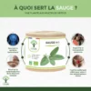 Sauge bio - Salvia officinalis - Complément alimentaire - Cycle menstruel Activité hormonale Transpiration Digestion - Fabriqué en France - Vegan