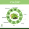 Minceur bio Bioptimal Complément alimentaire Thé Artichaut Ascophyllum Perte de Poids Brûle Graisse Digestion Made in France Certifié par Ecocert