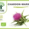 Chardon Marie bio gélules détox racine fois graine artichaut radis noir feuille fleur silymarine France