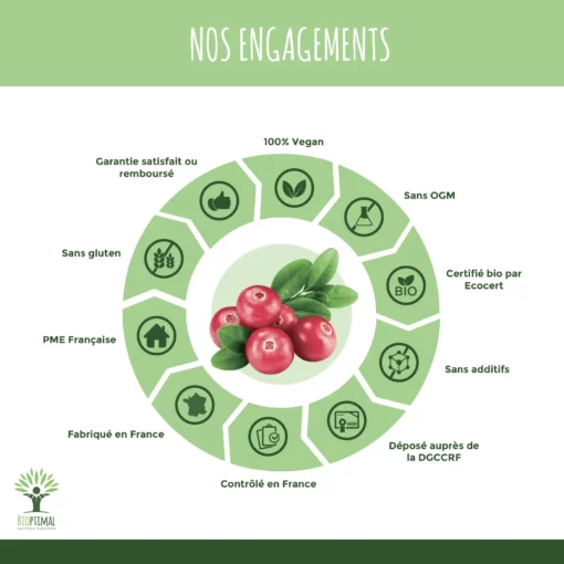 Cranberry Bio - Vaccinium macrocarpon - Complément alimentaire - Canneberge Sans Sucre - Fabriqué en France - Certifié Ecocert - Vegan
