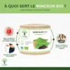 Minceur bio Bioptimal Complément alimentaire Thé Artichaut Ascophyllum Perte de Poids Brûle Graisse Digestion Made in France Certifié par Ecocert