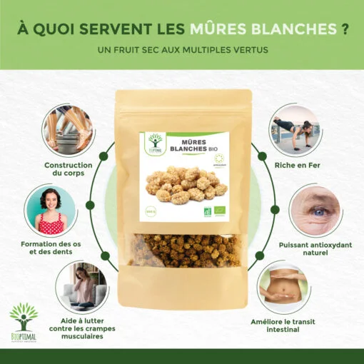 Mûres blanches bio Bioptimal Fruit sec Mulberries Vitamine C Vitamine A Antioxydant Made in France Certifié Ecocert