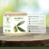 Olivier Bio - Complément alimentaire - Circulation Sanguine Diurétique Défenses immunitaires - Feuilles d'olivier en poudre - Fabriqué en France