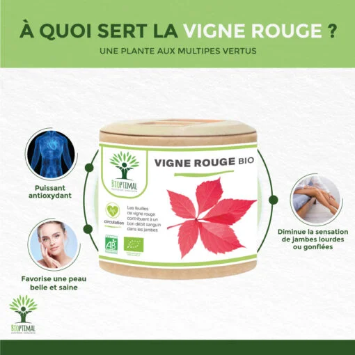 Vigne rouge bio Bioptimal Complément alimentaire Gélules Peau Saine Jambes Lourdes Made in France Certifié par Ecocert