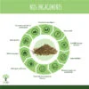 Thé vert bio Bioptimal Thés & Infusions Variété Chun Mee Feuilles Séchées en Vrac Doux et Savoureux Energie Détox Minceur Conditionné en France Certifié Ecocert