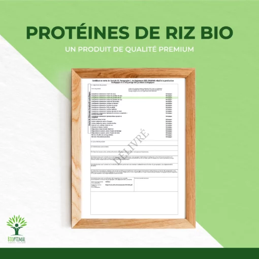 Protéine de Riz Bio - 80% de Protéines - Sport Musculation - Poudre de Riz Brun Germé - Whey Végétale - Conditionné en France - Vegan