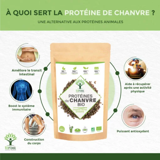 Protéine de chanvre bio 50% Protéines Haute Digestabilité Oméga 3 Fabriqué en France Bretagne