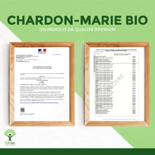 Chardon Marie Bio - Complément alimentaire - Foie Digestion Glycémie Défenses immunitaires - Fabriqué en France - Certifié Ecocert - Gélules - Vegan