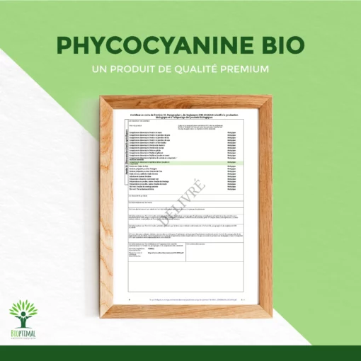 Phycocyanine Bio - Extrait de Spiruline Bleue en Poudre - Colorant Alimentaire Bleu Intense - Cuisine Recette - Conditionné en France – Vegan