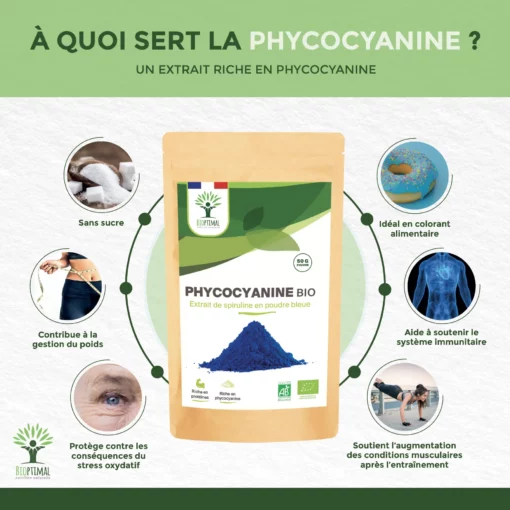 Phycocyanine Bio - Extrait de Spiruline Bleue en Poudre - Colorant Alimentaire Bleu Intense - Cuisine Recette - Conditionné en France – Vegan