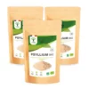 Psyllium Blond Bio - Téguments de Psyllium en Poudre Fine - Husk Powder - Digestion Transit Cholestérol - Superaliment - Fabriqué en France - Vegan