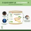 Gingembre Bio - Complément alimentaire - Energie Mal des transports Digestion - 270 mg par gélule - Fabriqué en France - Certifié par Ecocert - Vegan