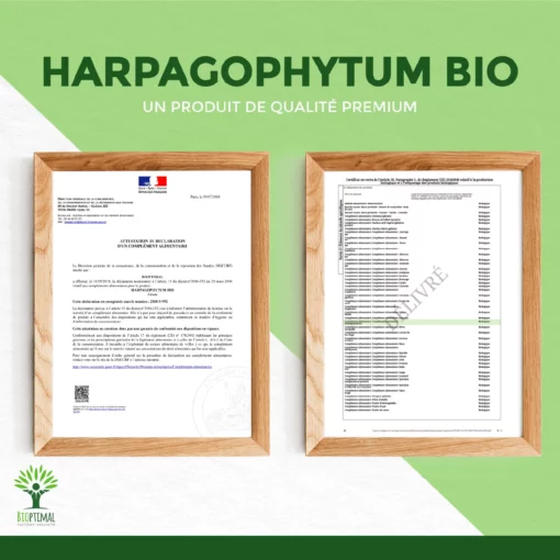 Harpagophytum Bio - Complément alimentaire - Articulation Digestion Appétit - 100% Poudre de Racine Pure en gélules - Fabriqué en France - Vegan