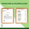 Spiruline & Chlorella Bio - Complément Alimentaire - Protéines Fer - Énergie Immunité - Comprimés - Conditionné en France - Certifié Ecocert - Vegan